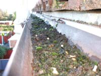 blocked gutter gutters gully drains unblock undertake repairs inspection damage cleaning quote building water gullies before accredited roofing